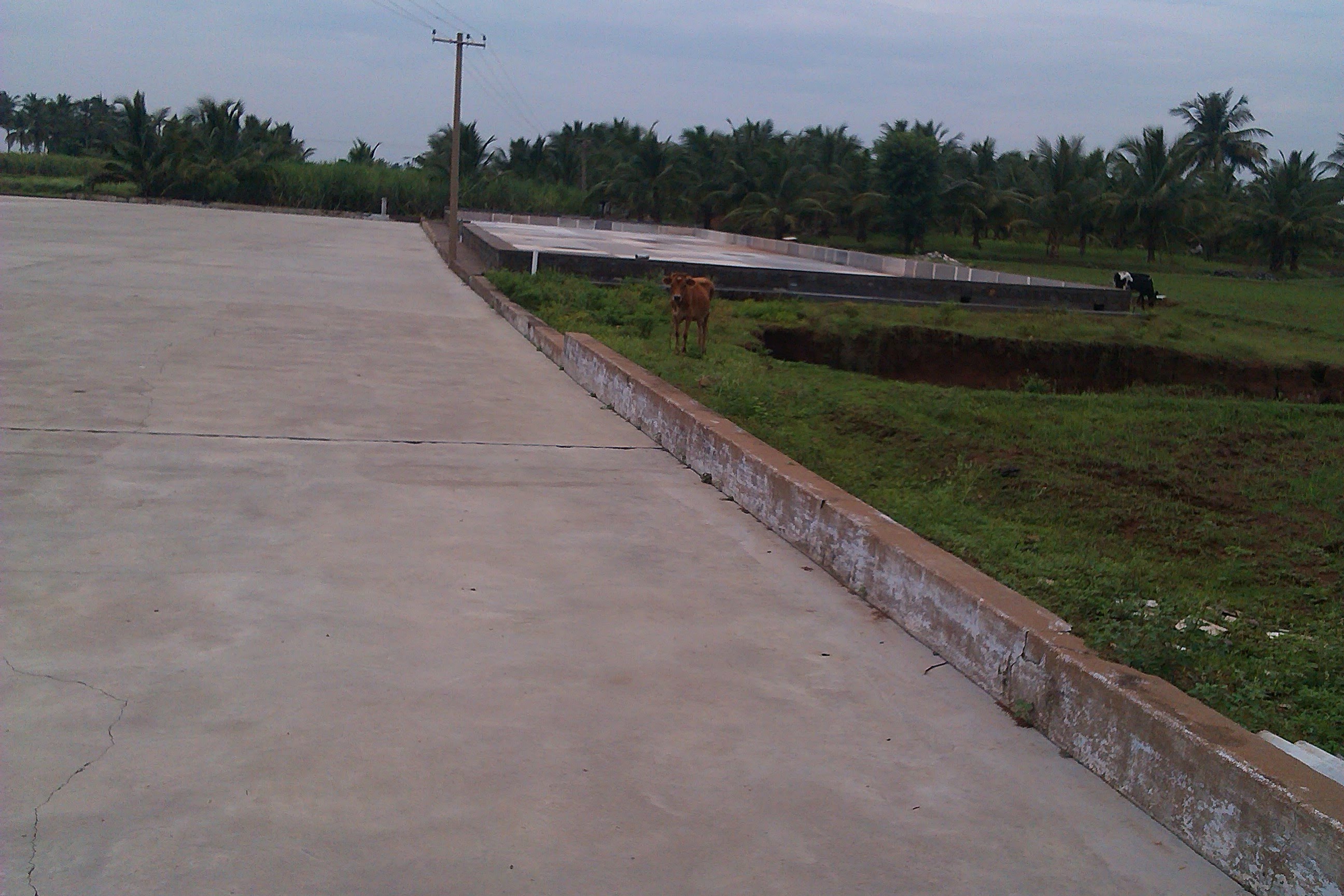 Sengottaian Estate photograph
