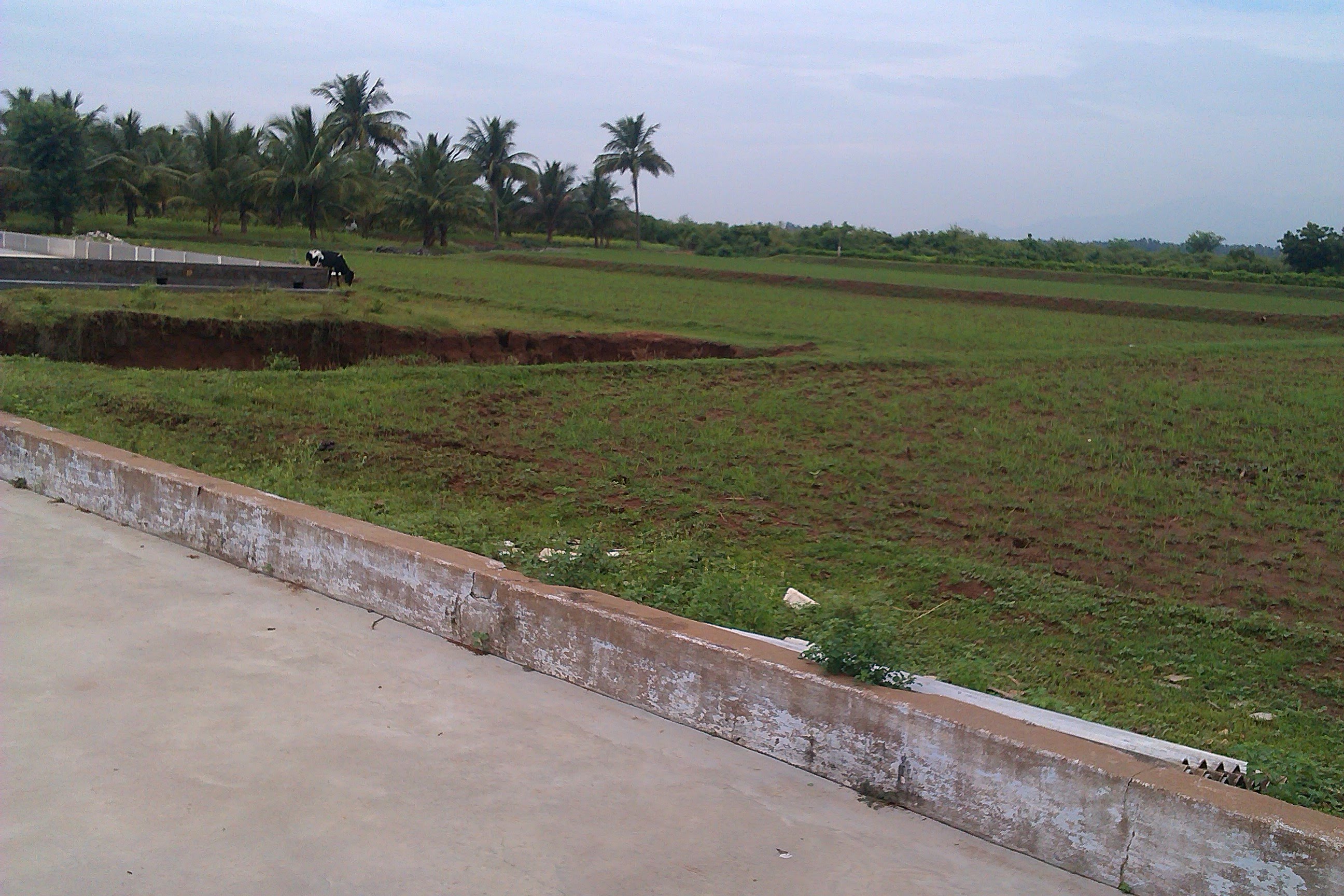 Sengottaian Estate photograph