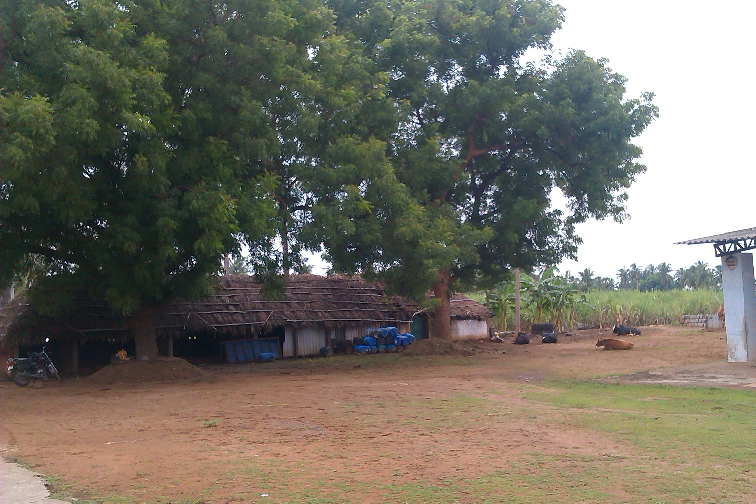 Photo: a guest space / hut on the farm, someone helping in the field