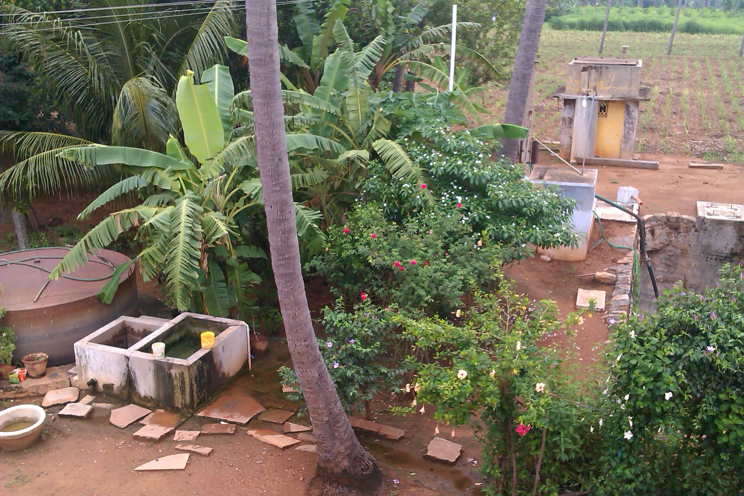 Sengottaian Estate photograph