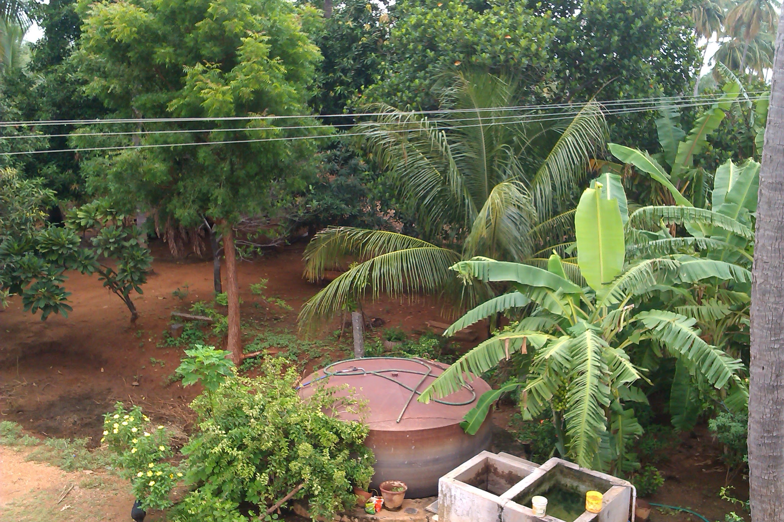 Sengottaian Estate photograph