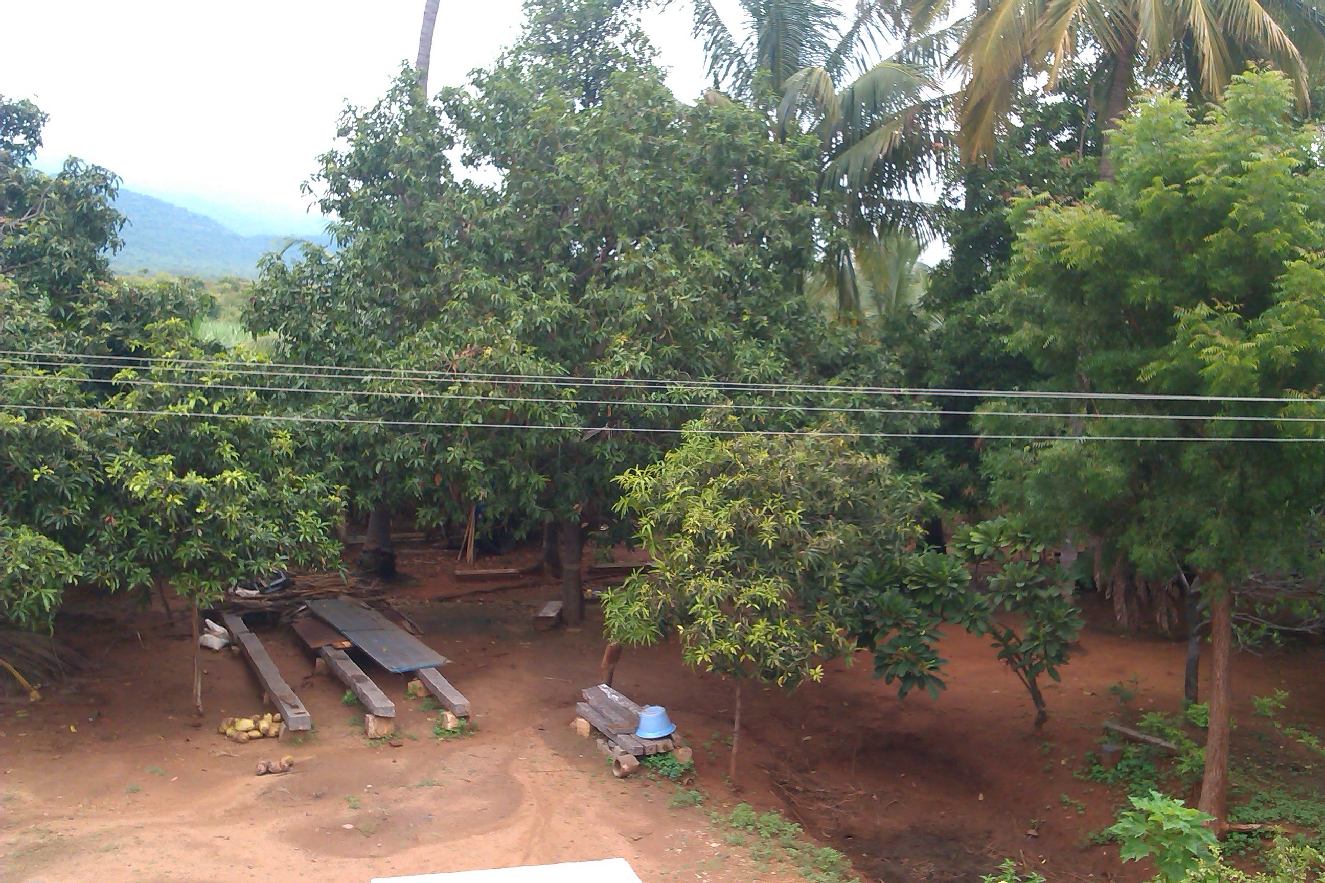 Sengottaian Estate photograph