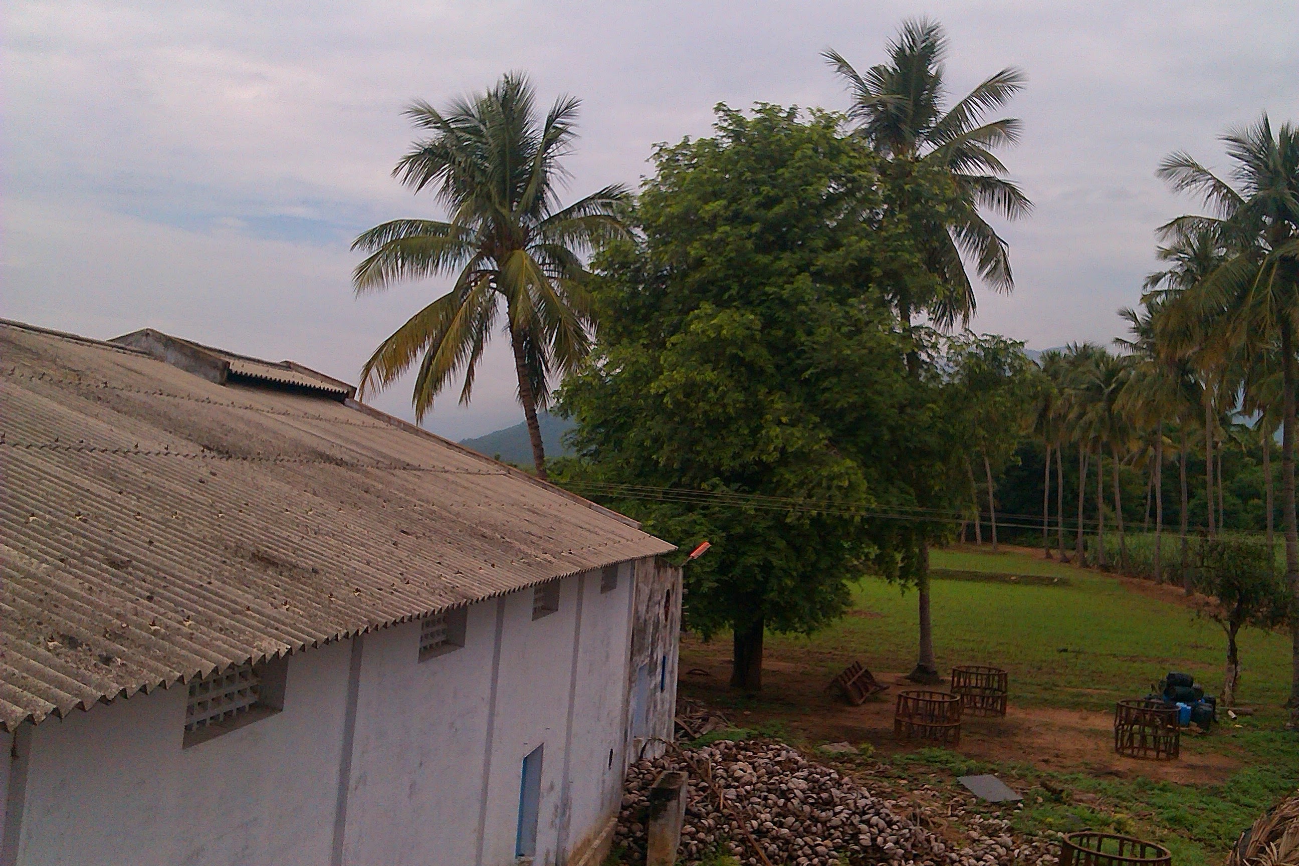 Sengottaian Estate photograph