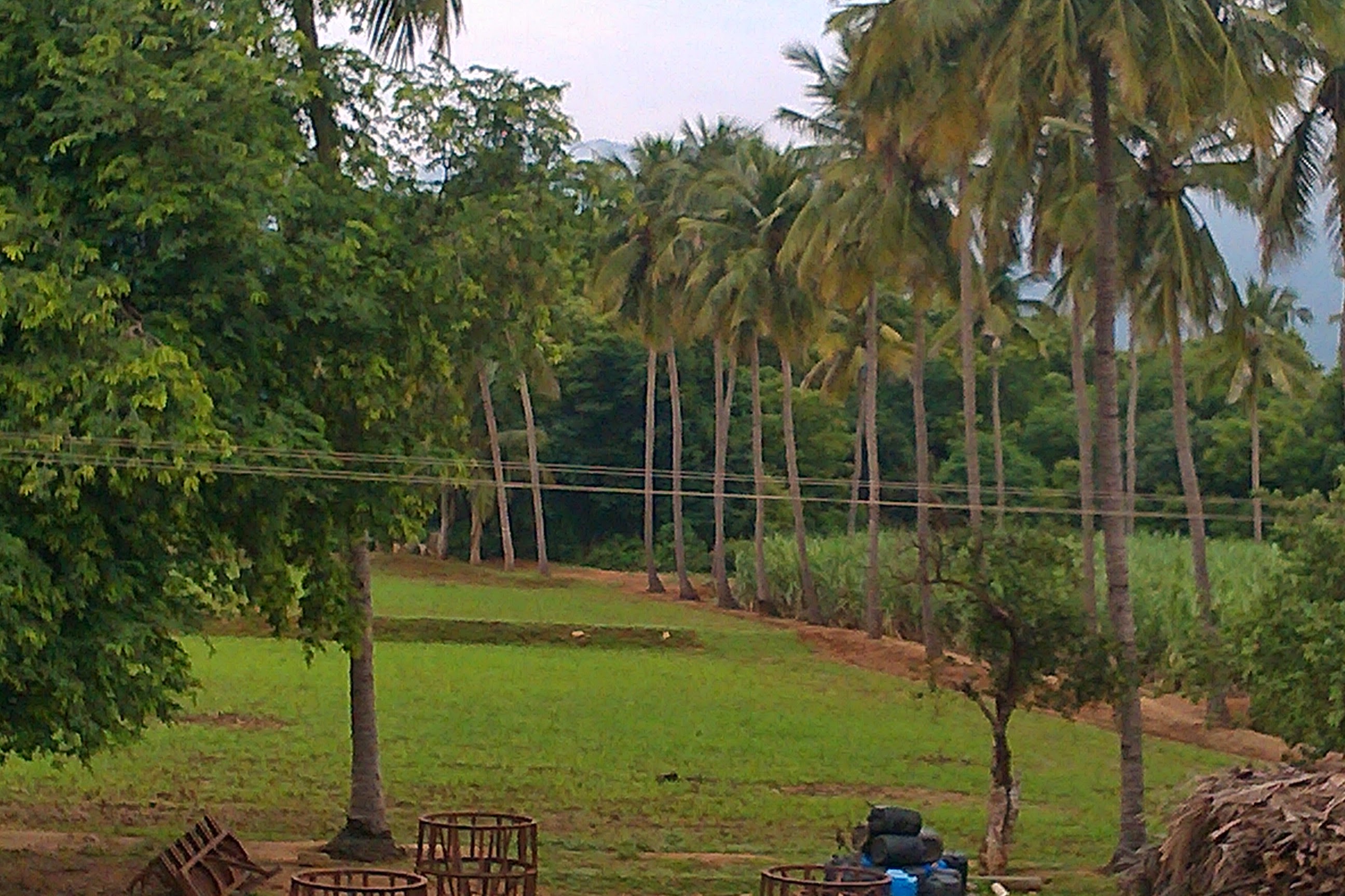Sengottaian Estate photograph